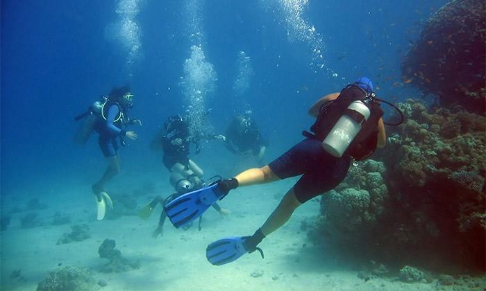 アリカンテ14 Bahia Playa Almadrabaアパートメント エクステリア 写真